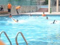 Tn DSC 4693